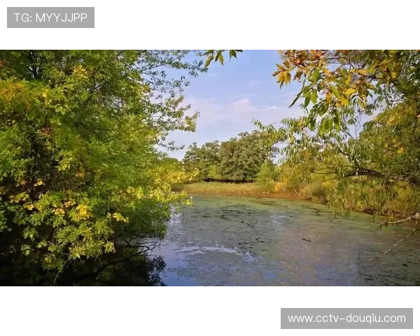 圣保罗周末降雨概率高,湿地条件可能颠覆正赛格局 圣保罗周末降雨概率高,湿地条件可能颠覆正赛格局